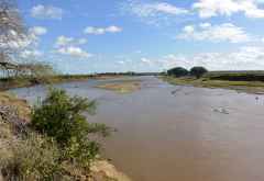 Tsavo Safari, Galana-River © Foto: Susanne Schlesinger | Outback Africa