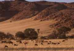 Sossusvlei am Morgen &copy; Foto: Doreen Schütze | Outback Africa