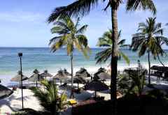Der Strand beim Southern Palms macht dem Hotelnamen alle Ehre. S &copy; Foto: Svenja Penzel