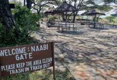 Leeres Besucher-Terrasse am Naabi Gate, Serengeti &copy; Foto: Debbie Bachmann | Wilkinson Tours