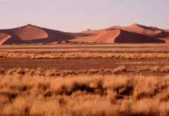 Die Dünen von Sossusvlei am Morgen &copy; Foto: Doreen Schütze | Outback Africa