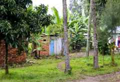 Farmhäuschen in Usa River &copy; Foto: Susanne Schlesinger | Outback Africa