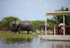 Bootssafari am Lake Nzerakera, Siwandu Camp &copy; Foto: Selous Safari Company