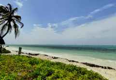 The Palms, Strand &copy; Foto: Angelika Krüger | Outback Africa