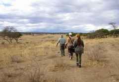 Pirschwanderung im Tarangire Nationalpark &copy; Foto: Judith Nasse | Outback Africa Erlebnisreisen