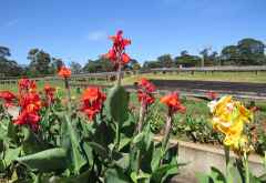 Kilimanjaro Plantation Ltd, Moshi &copy; Foto: S.Schlesinger