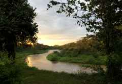 Letzte Abendsonne am Ntungwe River, Ishasha Sektor &copy; Foto: Svenja Penzel | Outback Africa