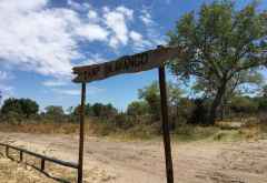 Fußweg vom Airstrip zum Camp Okavango &copy; Foto: Svenja Penzel | Outback Africa