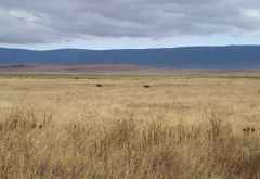 Ngorongoro-Krater &copy; Foto: Judith Nasse | Outback Africa