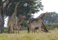Camelthorn Lodge, Hide &copy; Foto: Ulrike Pârvu | Outback Africa