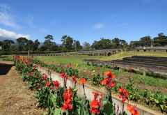 Kilimanjaro Plantation Ltd, Moshi &copy; Foto: S.Schlesinger