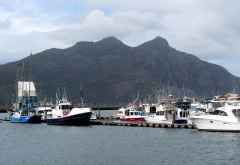 Am Hafen von Hout Bay &copy; Foto: Susanne Schlesinger | Outback Africa