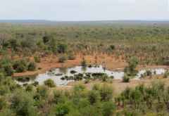 Victoria Falls Safari Lodge, Wasserloch &copy; Foto: Susanne Schlesinger | Outback Africa