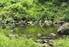 Am Usa River &copy; Foto: Susanne Schlesinger | Outback Africa