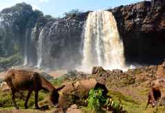 Tisissat-Wasserfälle des Blauen Nil, Äthiopien &copy; Foto: René Schmidt | Outback Africa
