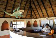 Der Namensgeber hängt im Flatdogs Camp über der Rezeption: Flache Hunde ist ein Synonym für Krokodile. &copy; Foto: Marco Penzel | Outback Africa