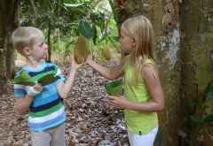 Nanu, was ist das denn für eine riesige Frucht? &copy; Foto: Svenja Penzel | Outback Africa