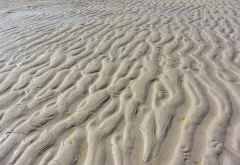 Ebbe am Strand von Matemwe © Foto: Angelika Krüger | Outback Africa