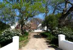La Bri Weingut, Wine Tram Franschhoek &copy; Foto: Doreen Krausche | Outback Africa