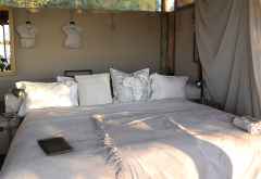 Duma Tau, Zelt &copy; Foto: Ulrike Pârvu | Outback Africa