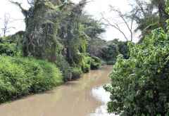 Chimp Sanctuary am Ewaso Nyiro Fluss &copy; Foto: Svenja Penzel | Outback Africa