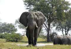 Camelthorn Lodge, Hide &copy; Foto: Ulrike Pârvu | Outback Africa