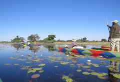 Mokoroausflug, Nxamaseri Island Lodge &copy; Foto: Susanne Schlesinger | Outback Africa