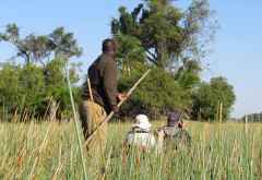 Mokoroausflug, Nxamaseri Island Lodge &copy; Foto: Susanne Schlesinger | Outback Africa