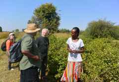 Auf einem Katfeld in Äthiopien &copy; Foto: René Schmidt | Outback Africa