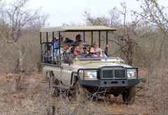 Impodimo Game Lodge, Pirschfahrt &copy; Foto: Jens Doering | Outback Africa