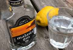 Malawi Gin - pur beinahe zu gut, um ihn mit Tonic zu verdünnen &copy; Foto: Marco Penzel | Outback Africa