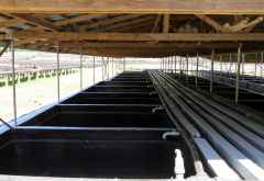 Kilimanjaro Plantation Ltd, Moshi &copy; Foto: S.Schlesinger