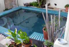 Sweet Lemon Guesthouse, Kapstadt &copy; Foto: Susanne Schlesinger | Outback Africa