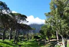 Kapstadt, Park mit Blick zum Tafelberg © Foto: Doreen Krausche | Outback Africa