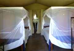 Maramba River Lodge, Zeltchalet © Foto: Ulrike Pârvu | Outback Africa Erlebnisreisen