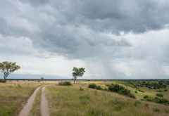 Queen Elizabeth Nationalpark, Ishasha-Sektor &copy; Foto: Marco Penzel | Outback Africa