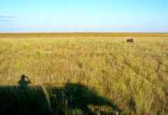 Schattenspiel in den Liuwa-Plains &copy; Foto: René Schmidt | Outback Africa Erlebnisreisen