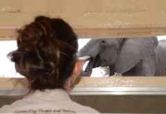 Camelthorn Lodge, Hide