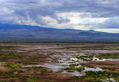 Nach dem Regen am Fuße des Kilimanjaro © Foto: Marco Penzel | Outback Africa