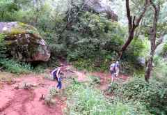 Wanderung zum Wasserfall im Mulanje-Massiv &copy; Foto: Susanne Schlesinger | Outback Africa