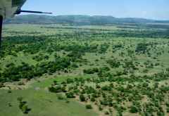 Flug über die Serengeti &copy; Foto: Judith Nasse | Outback Africa Erlebnisreisen
