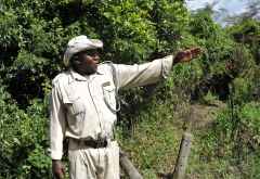 Chimp Sanctuary, Guide &copy; Foto: Svenja Penzel | Outback Africa