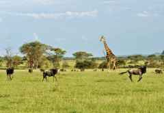 Tiervielfalt im Grumetigebiet &copy; Foto: Marco Penzel | Outback Africa