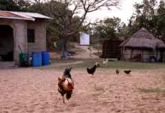 Im Zuludorf &copy; Foto: Doreen Schütze | Outback Africa