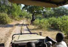 Fahrt in den einsamen Süden des South Luangwa Nationalparks zum Island Bush Camp. © Foto: Marco Penzel | Outback Africa