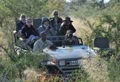 Die offenen Pirschwagen fahren auch abseits aller Wege. &copy; Foto: Marco Penzel | Outback Africa