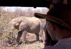 Pirschfahrt im Krüger Nationalpark &copy; Foto: Doreen Schütze | Outback Africa