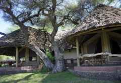 Tortilis Camp © Foto: Svenja Penzel | Outback Africa