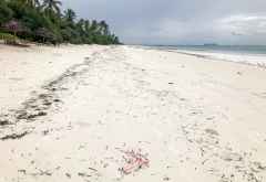 Spuren der letzten Flut &copy; Foto: Svenja Penzel | Outback Africa