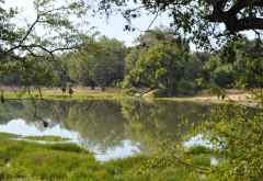 Ein schöner Platz für eine Kaffeepause in South Luangwa. &copy; Foto: Marco Penzel | Outback Africa